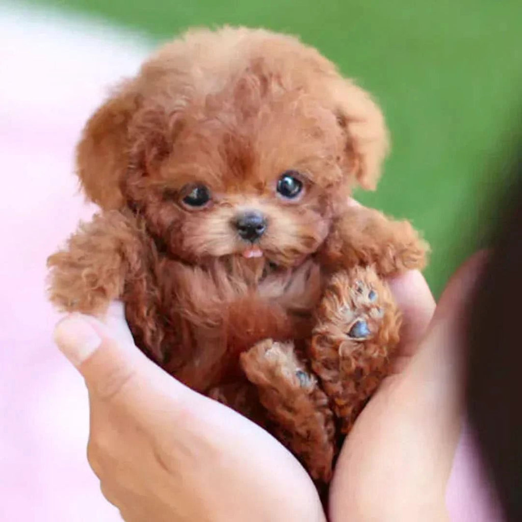 🐶🌭Little Lamu - My Realistic Robot Puppy - ShopLorca